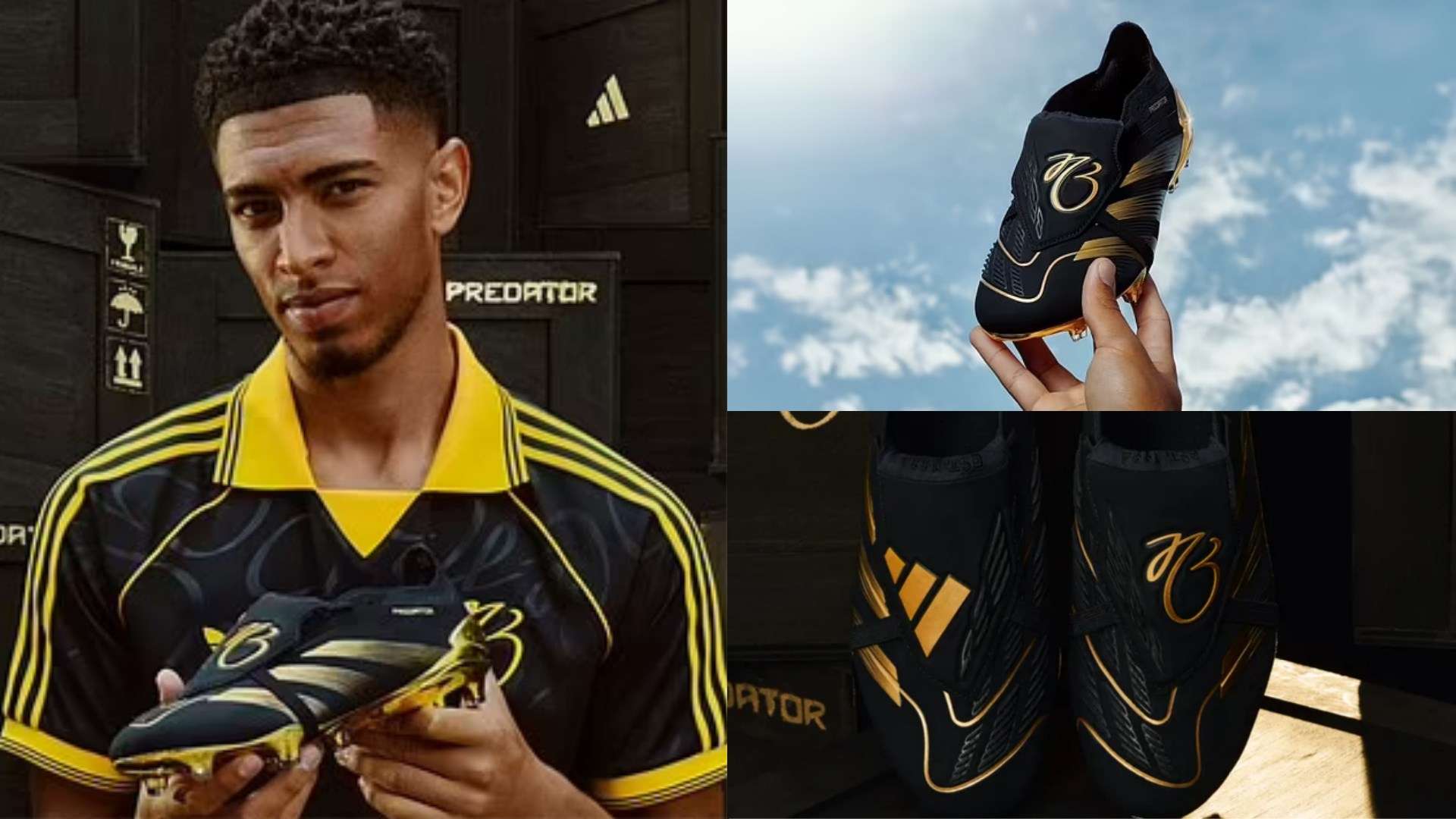 许多家庭选 许多家庭选